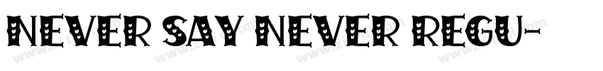 Never Say Never Regu字体转换